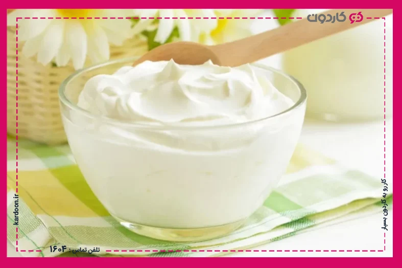 How to prepare yogurt with Solardam