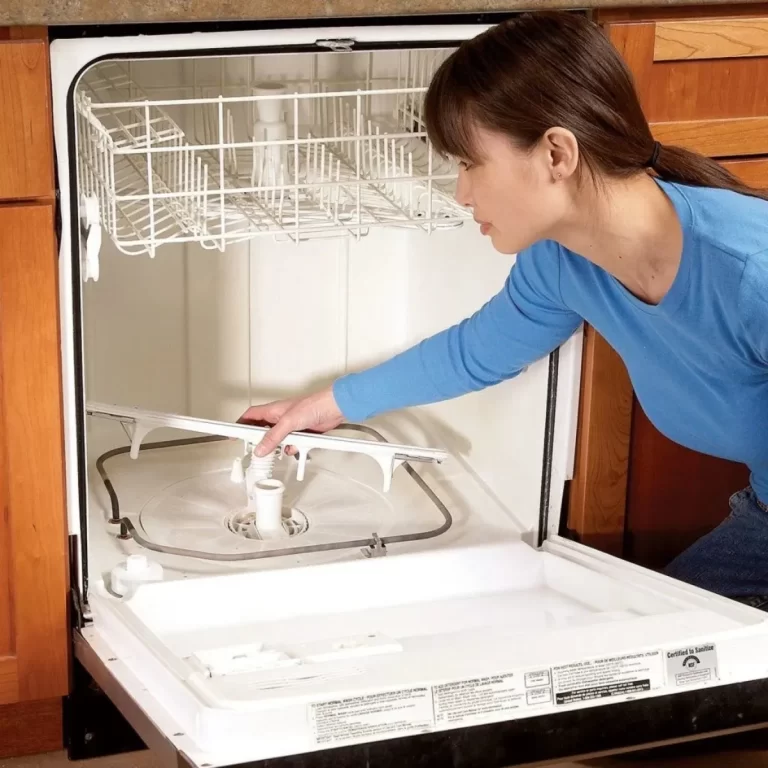 Should we repair or replace a rusty dishwasher