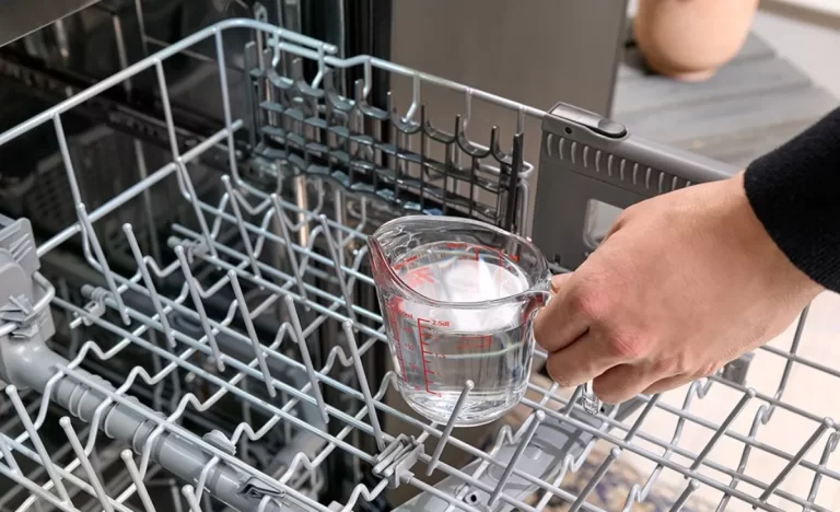 Cleaning dishwasher parts