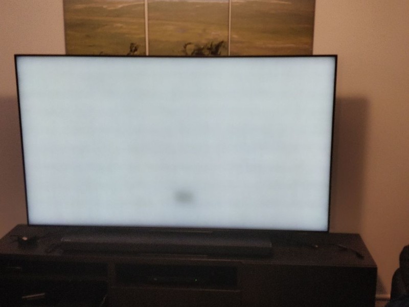 Black spots on Samsung TV screen