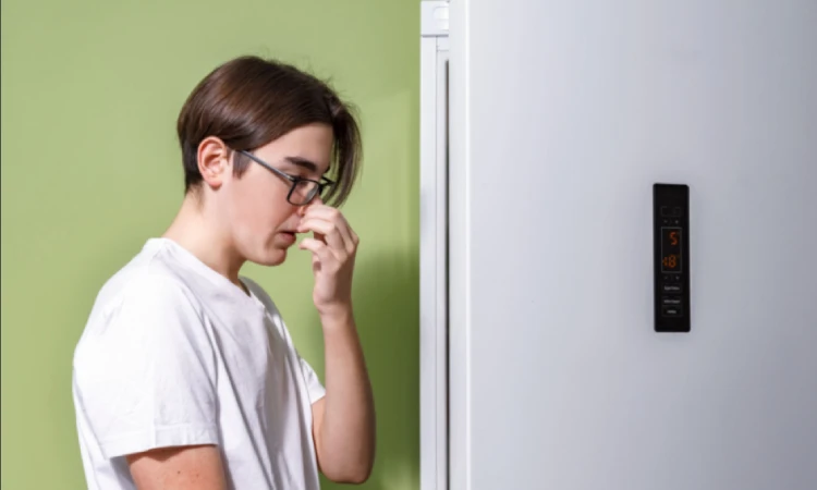 The cause of the bad smell of the off refrigerator and how to prevent it