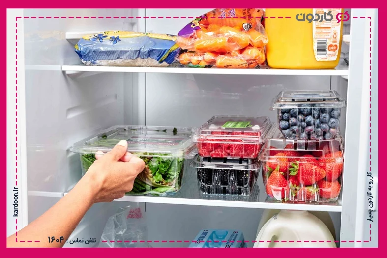 The right temperature for fruits and vegetables to store in the freezer