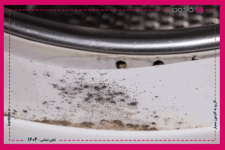 The causes of mold in the washing machine