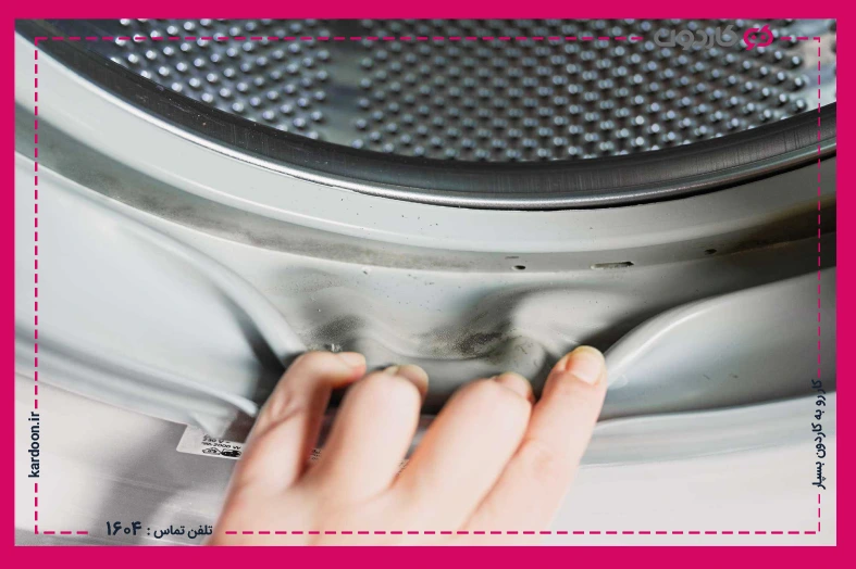 Ways to prevent washing machine mold