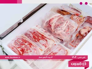 Symptoms of meat deterioration in the refrigerator
