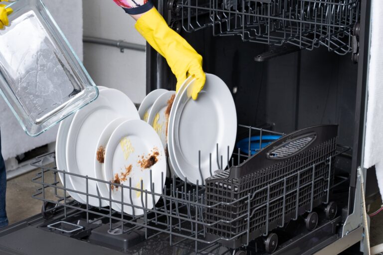 The salt light of the dishwasher and the meaning of its staying on